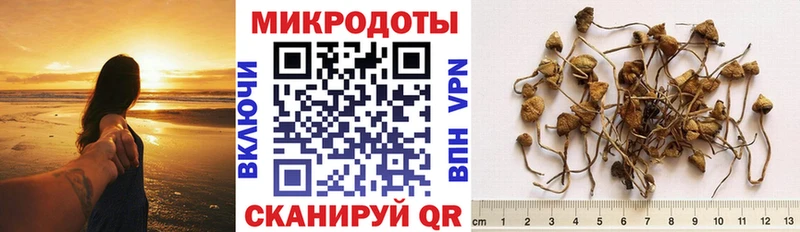 где продают наркотики  Устюжна  Псилоцибиновые грибы Cubensis 